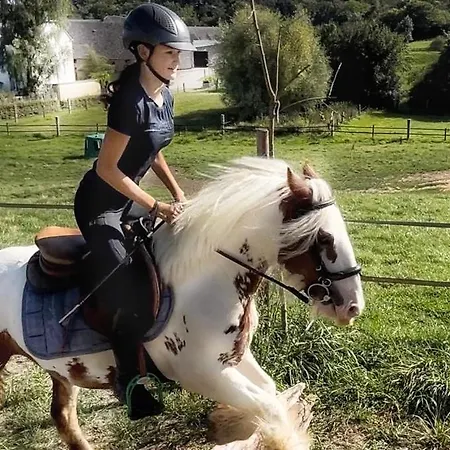 House - Mare&filly 홈스테이