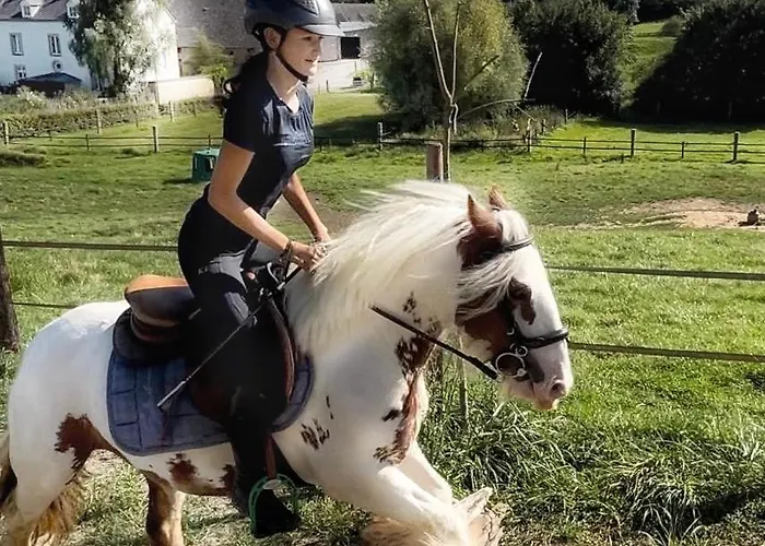 House - Mare&filly Privatunterkunft