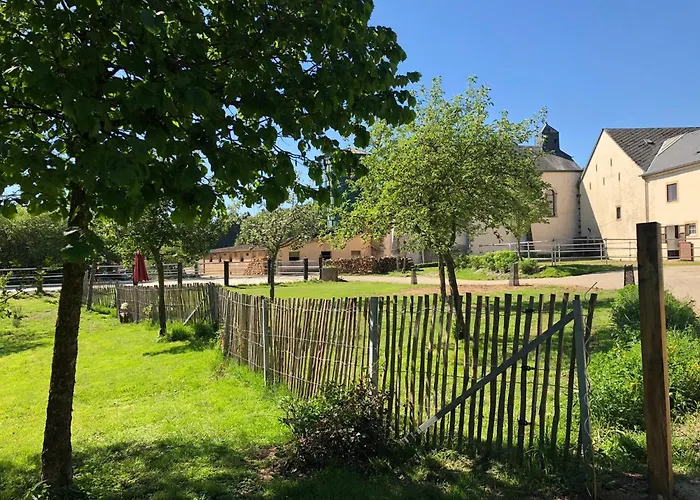 House - Mare&filly *