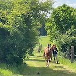 Homestay House - Mare&filly *