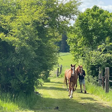 Accommodatie bij particulieren House - Mare&filly *