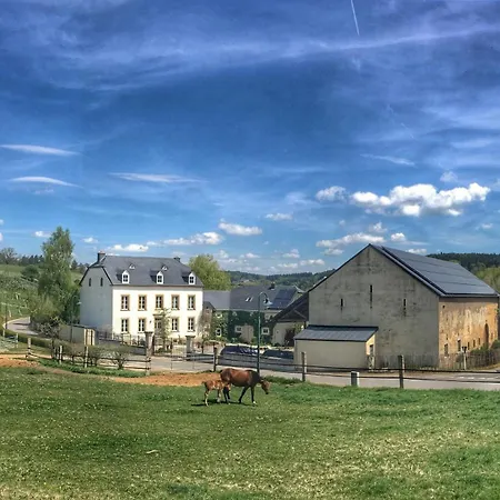 House - Mare&filly Homestay
