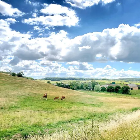 House - Mare&filly Homestay Weyer