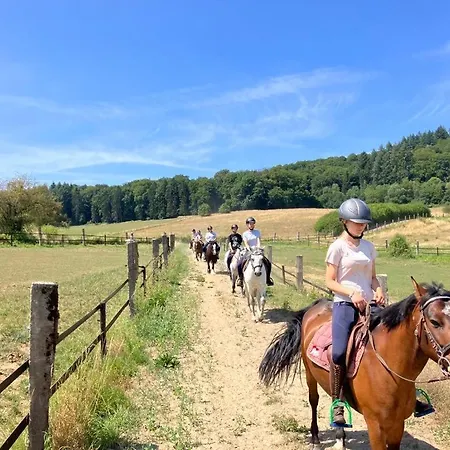 Homestay House - Mare&filly