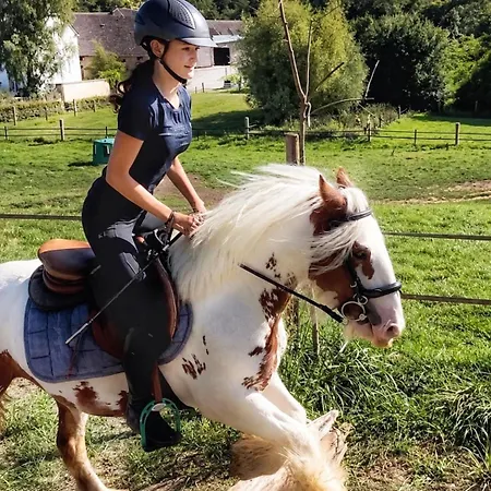 House - Mare&filly * Weyer
