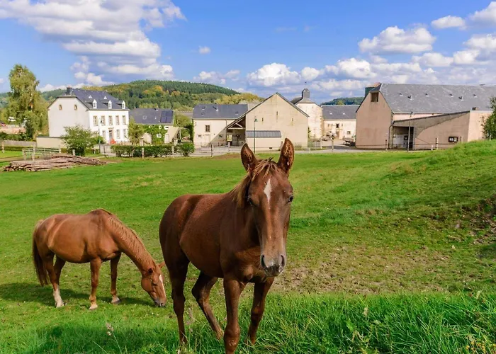 House - Mare&filly בית אירוח